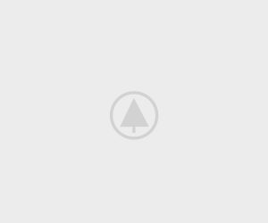 wood-gallery-placeholder wood-gallery-placeholder